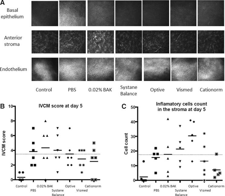 https://cdn.ncbi.nlm.nih.gov/pmc/blobs/38a4/4779975/7e01f96eaa63/fig-2.jpg