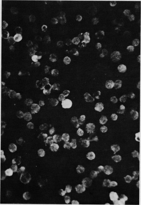 https://cdn.ncbi.nlm.nih.gov/pmc/blobs/38a5/1947468/41b1907b21f8/canmedaj01579-0061-a.jpg
