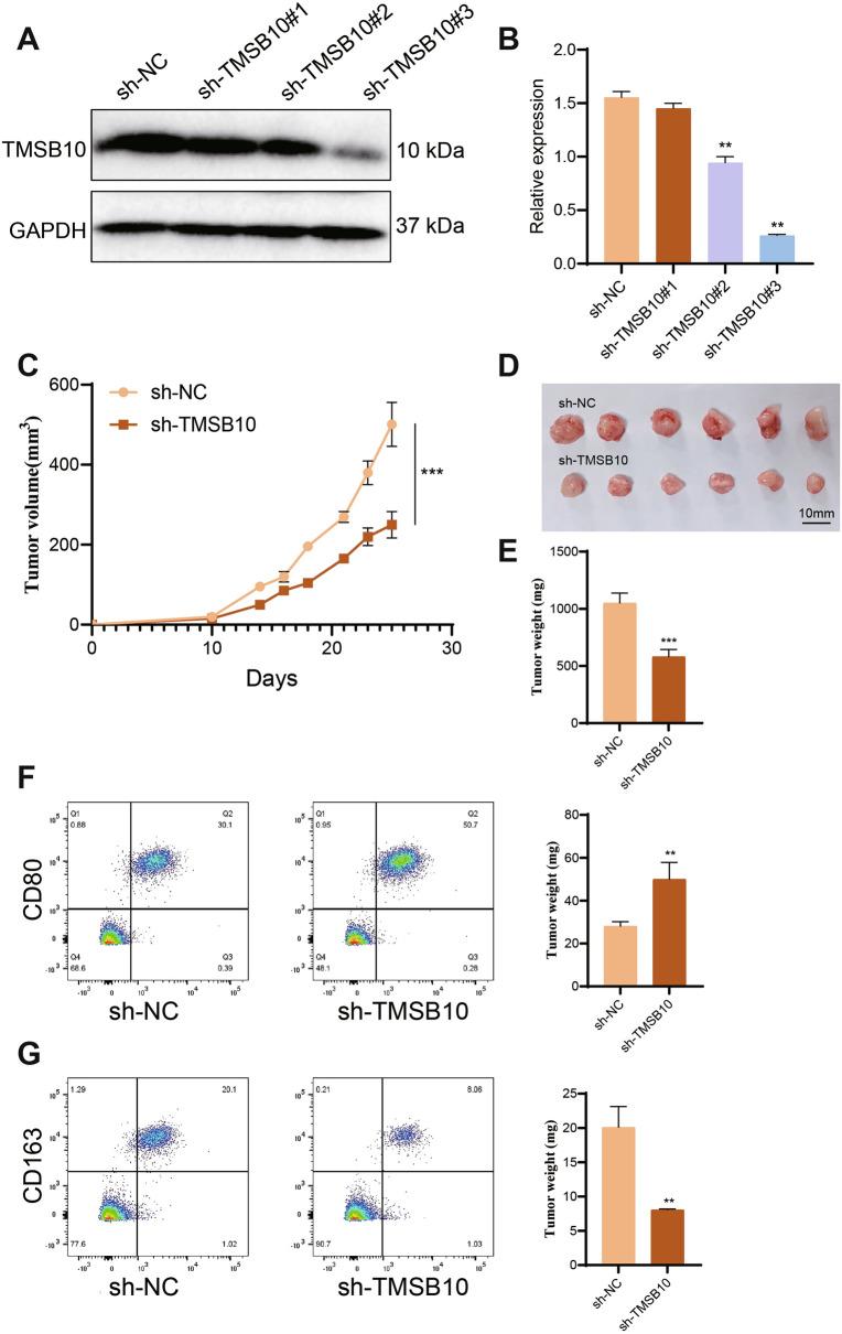https://cdn.ncbi.nlm.nih.gov/pmc/blobs/38a6/12042486/0fe5eacdedf6/10020_2025_1211_Fig10_HTML.jpg