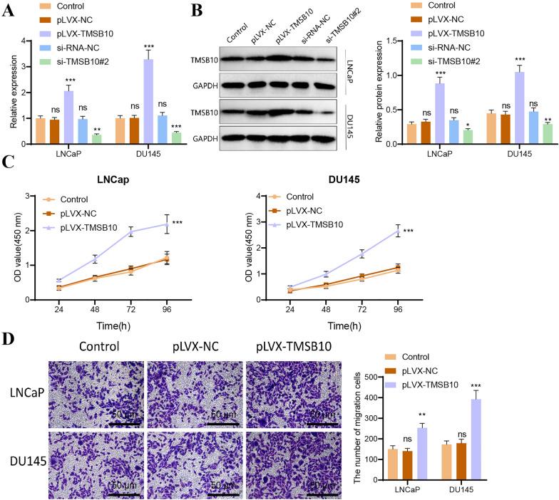https://cdn.ncbi.nlm.nih.gov/pmc/blobs/38a6/12042486/751086c72422/10020_2025_1211_Fig7_HTML.jpg