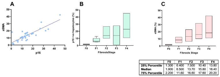 https://cdn.ncbi.nlm.nih.gov/pmc/blobs/38a6/9322633/76df2e88306d/cells-11-02221-g001.jpg