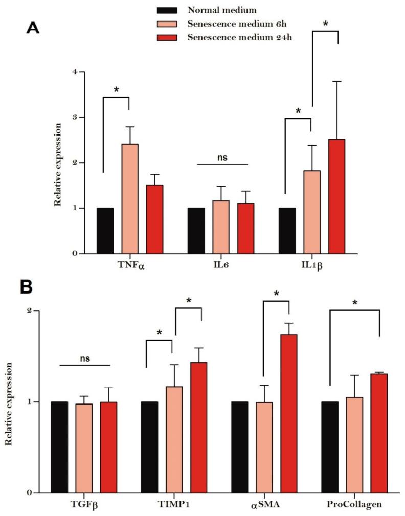 https://cdn.ncbi.nlm.nih.gov/pmc/blobs/38a6/9322633/e35b12654805/cells-11-02221-g004.jpg