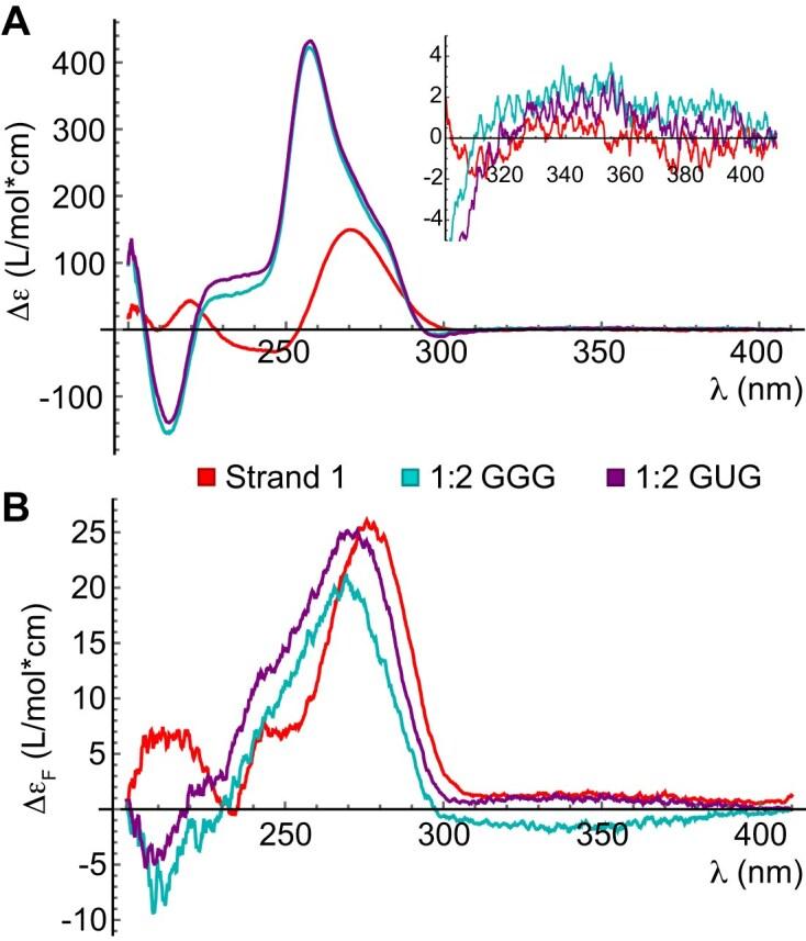 https://cdn.ncbi.nlm.nih.gov/pmc/blobs/38a7/11983128/0ed47d9c1242/gkaf262fig6.jpg