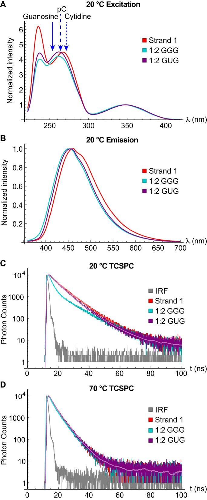 https://cdn.ncbi.nlm.nih.gov/pmc/blobs/38a7/11983128/7d6f26455115/gkaf262fig5.jpg