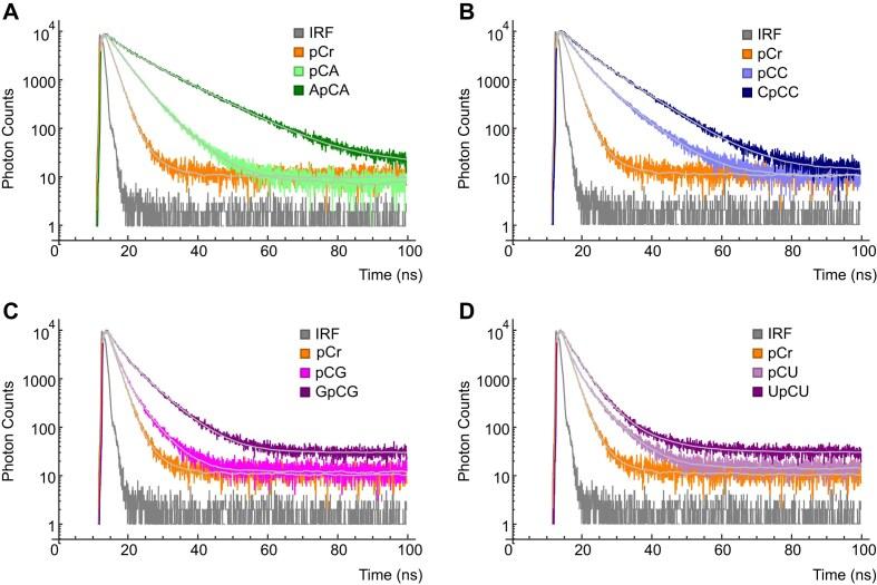 https://cdn.ncbi.nlm.nih.gov/pmc/blobs/38a7/11983128/a304be6672a3/gkaf262fig2.jpg