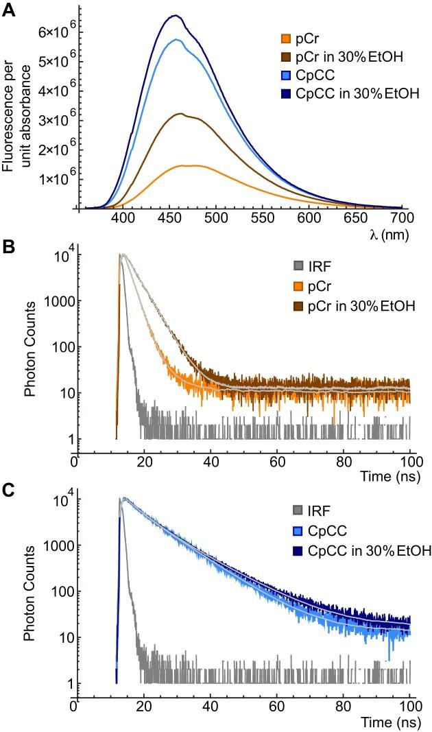 https://cdn.ncbi.nlm.nih.gov/pmc/blobs/38a7/11983128/ecf3902f624b/gkaf262fig3.jpg