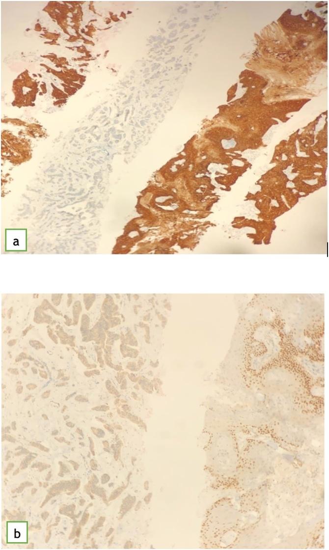 https://cdn.ncbi.nlm.nih.gov/pmc/blobs/38aa/7758454/041560a33bbf/gr7.jpg
