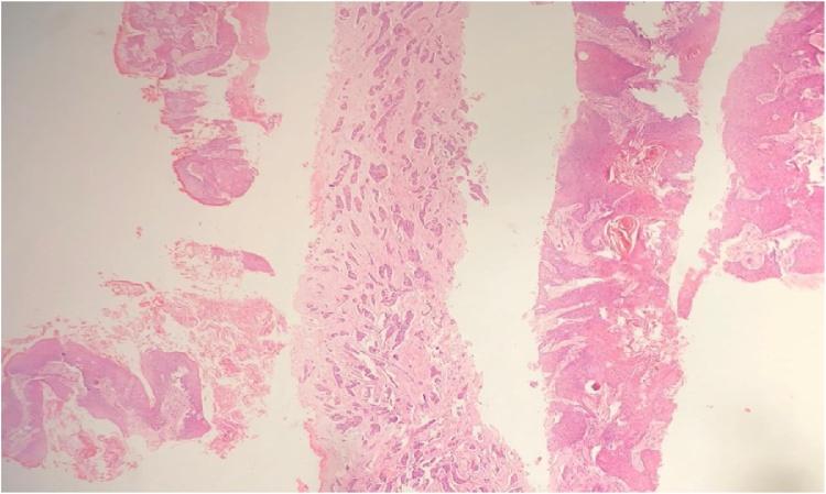 https://cdn.ncbi.nlm.nih.gov/pmc/blobs/38aa/7758454/3dcdfdf7d50b/gr5.jpg