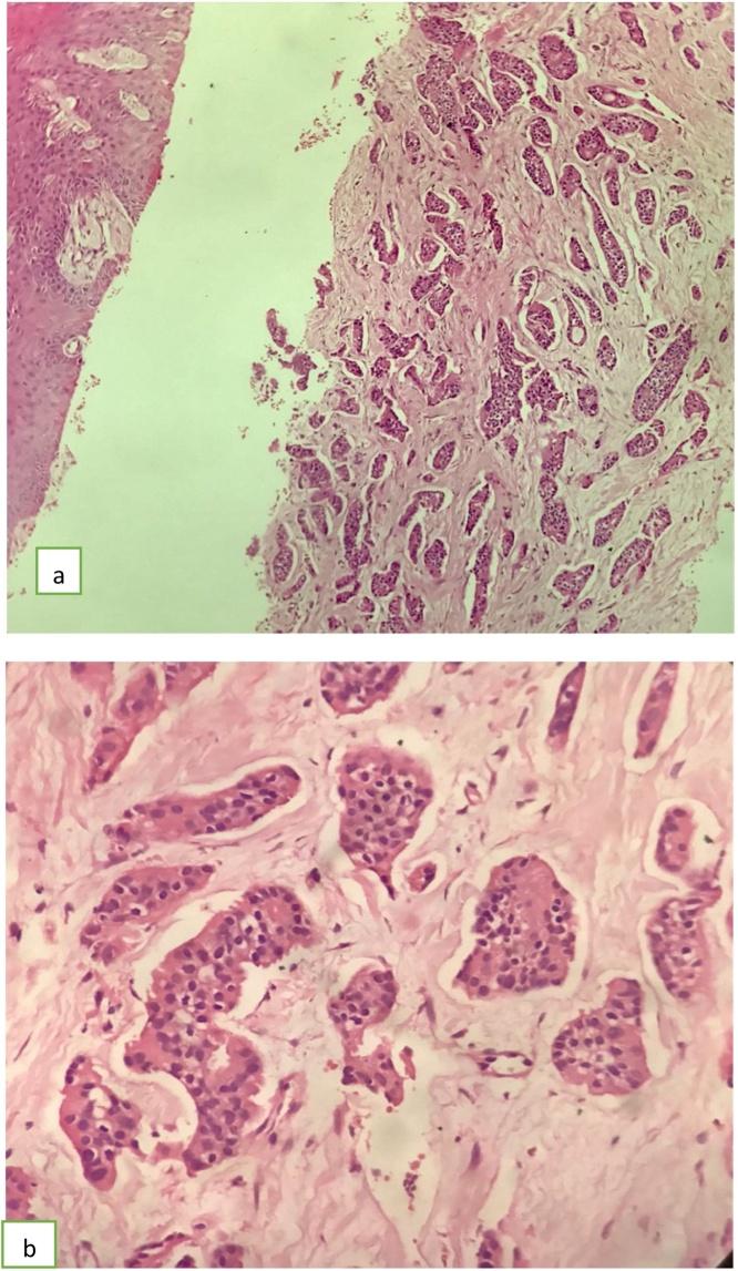 https://cdn.ncbi.nlm.nih.gov/pmc/blobs/38aa/7758454/cde19be92b10/gr8.jpg