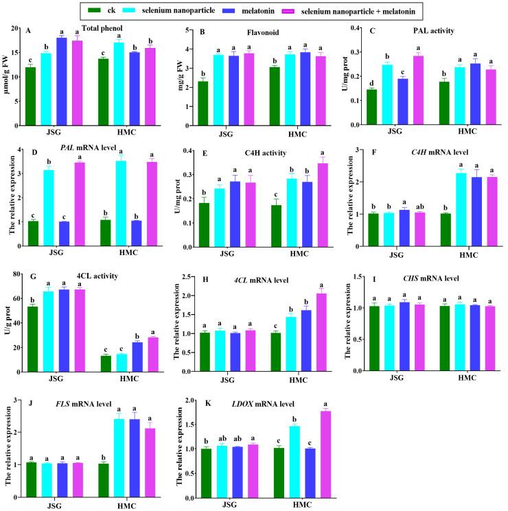 https://cdn.ncbi.nlm.nih.gov/pmc/blobs/38ae/11276989/f33d3e10c4db/ijms-25-07830-g005.jpg