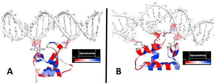 https://cdn.ncbi.nlm.nih.gov/pmc/blobs/38af/5645174/386a70cde8ba/gr8.jpg