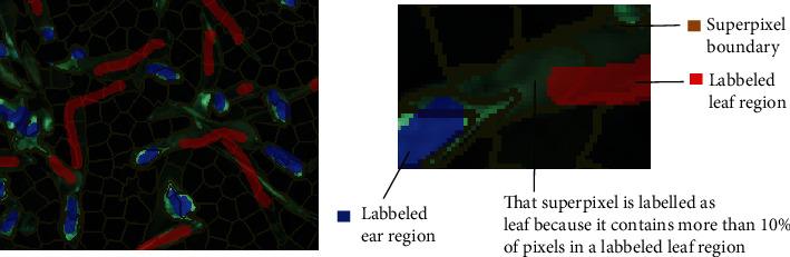 https://cdn.ncbi.nlm.nih.gov/pmc/blobs/38af/8817947/2765d6f41ab8/PLANTPHENOMICS2022-9841985.002.jpg