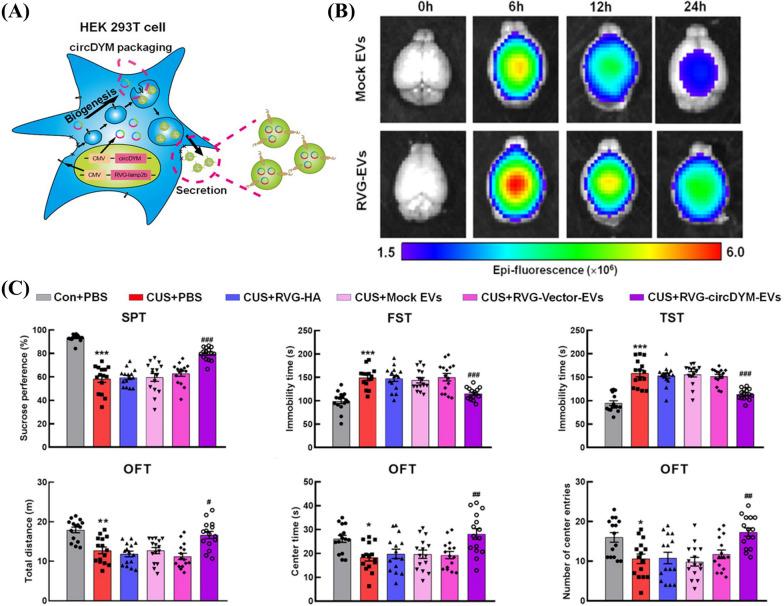 https://cdn.ncbi.nlm.nih.gov/pmc/blobs/38b0/10505332/2b91fc409a6a/12951_2023_2081_Fig3_HTML.jpg