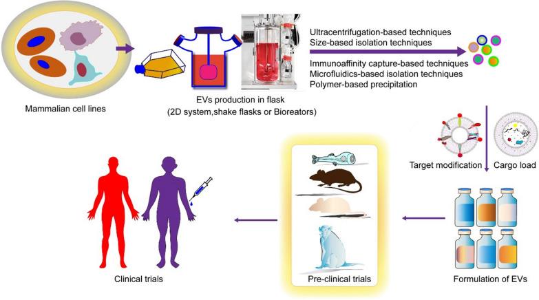 https://cdn.ncbi.nlm.nih.gov/pmc/blobs/38b0/10505332/d78890528325/12951_2023_2081_Fig8_HTML.jpg