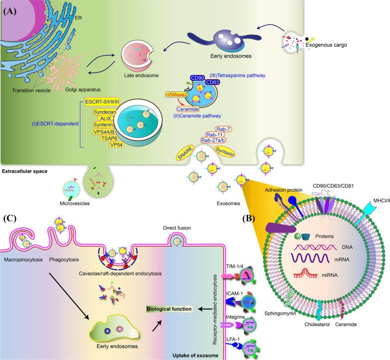 https://cdn.ncbi.nlm.nih.gov/pmc/blobs/38b0/10505332/f0378b11077a/12951_2023_2081_Fig1_HTML.jpg