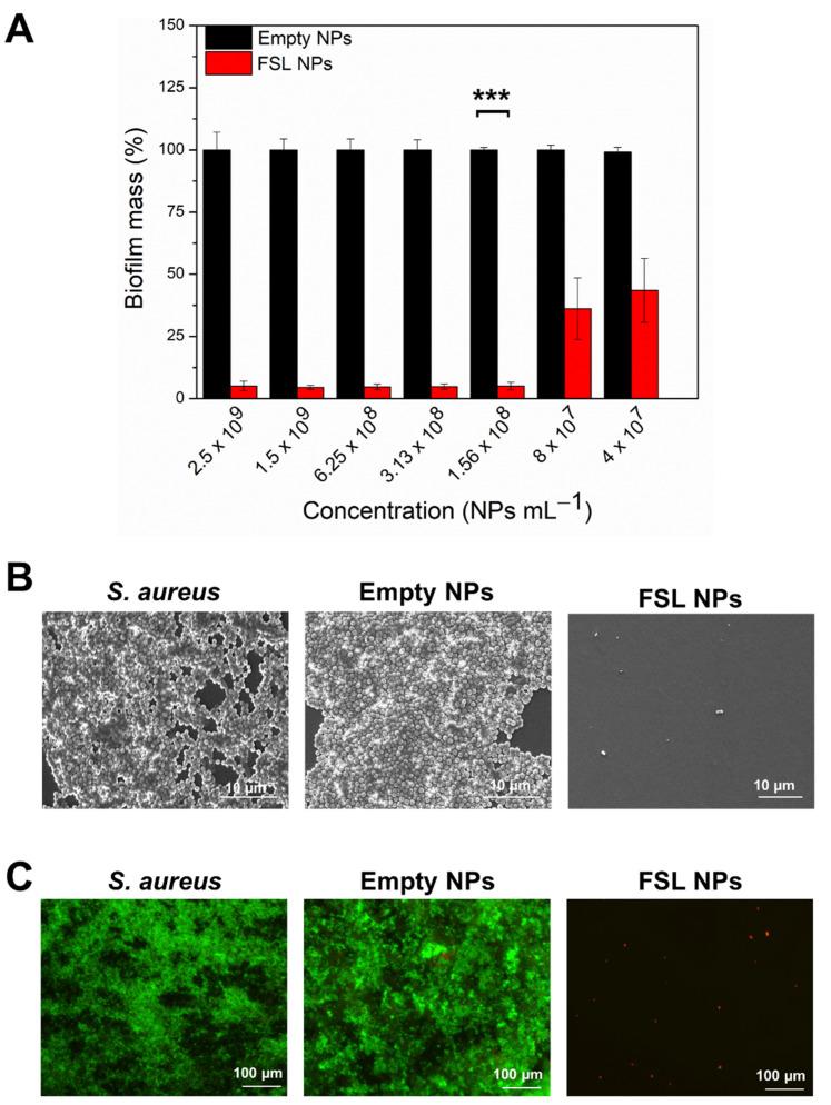 https://cdn.ncbi.nlm.nih.gov/pmc/blobs/38b0/9321328/39a9868467a5/ijms-23-07527-g004.jpg