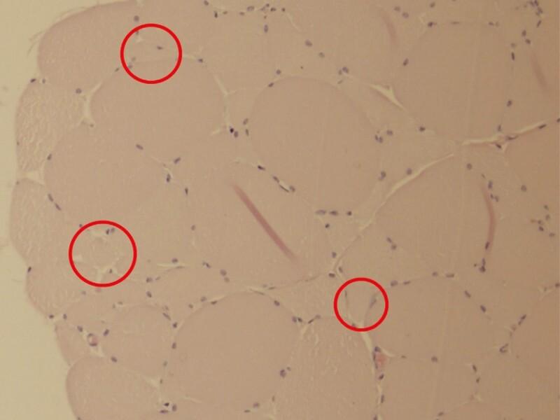 https://cdn.ncbi.nlm.nih.gov/pmc/blobs/38b1/8202148/1d9aeca5013f/sjab002_fig4.jpg