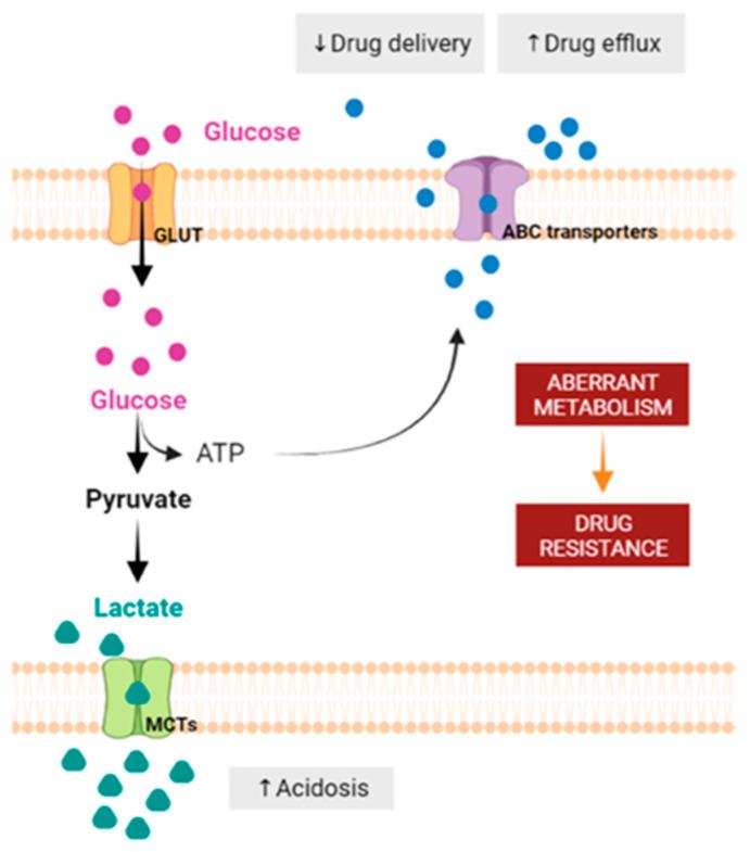 https://cdn.ncbi.nlm.nih.gov/pmc/blobs/38b2/10675572/46a132c2609c/pharmaceutics-15-02610-g005.jpg