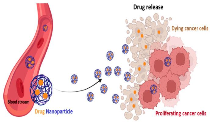 https://cdn.ncbi.nlm.nih.gov/pmc/blobs/38b2/10675572/ccfb8796501c/pharmaceutics-15-02610-g007.jpg