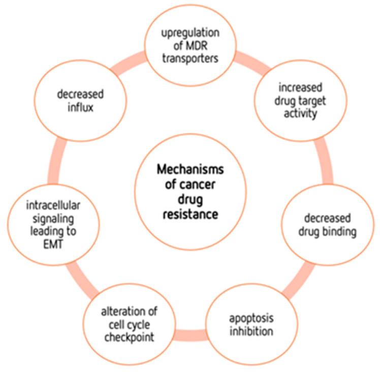 https://cdn.ncbi.nlm.nih.gov/pmc/blobs/38b2/10675572/d07d376087bb/pharmaceutics-15-02610-g003.jpg