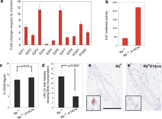 https://cdn.ncbi.nlm.nih.gov/pmc/blobs/38b2/2887512/ce45181345cf/12015_2010_9139_Fig5_HTML.jpg