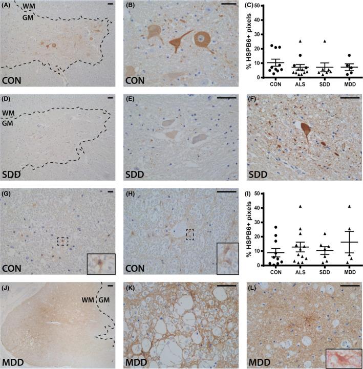 https://cdn.ncbi.nlm.nih.gov/pmc/blobs/38b2/7379307/0faae41f38f1/NAN-45-459-g006.jpg