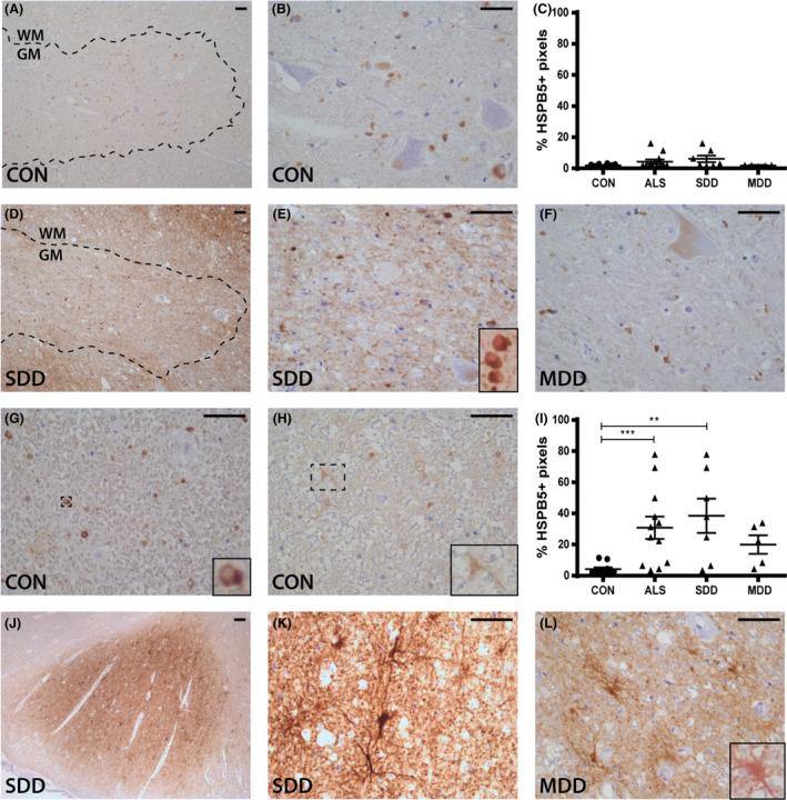 https://cdn.ncbi.nlm.nih.gov/pmc/blobs/38b2/7379307/1fb8bcebdb91/NAN-45-459-g004.jpg