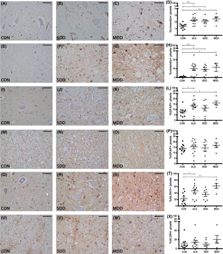https://cdn.ncbi.nlm.nih.gov/pmc/blobs/38b2/7379307/b8e4f70e41df/NAN-45-459-g002.jpg