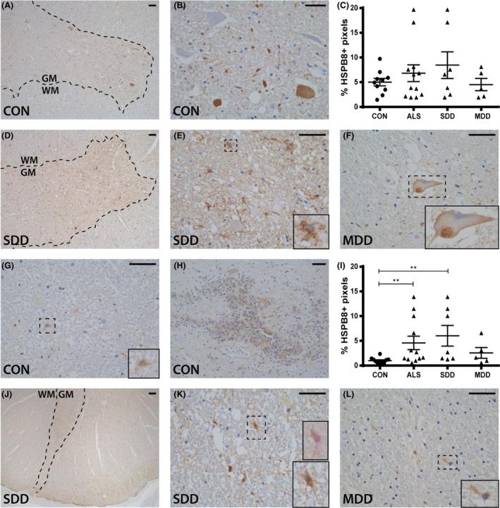 https://cdn.ncbi.nlm.nih.gov/pmc/blobs/38b2/7379307/fafd54451b95/NAN-45-459-g005.jpg