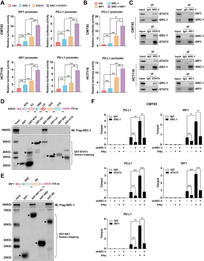 https://cdn.ncbi.nlm.nih.gov/pmc/blobs/38b5/11434141/8e30262a1762/ADVS-11-2310037-g001.jpg