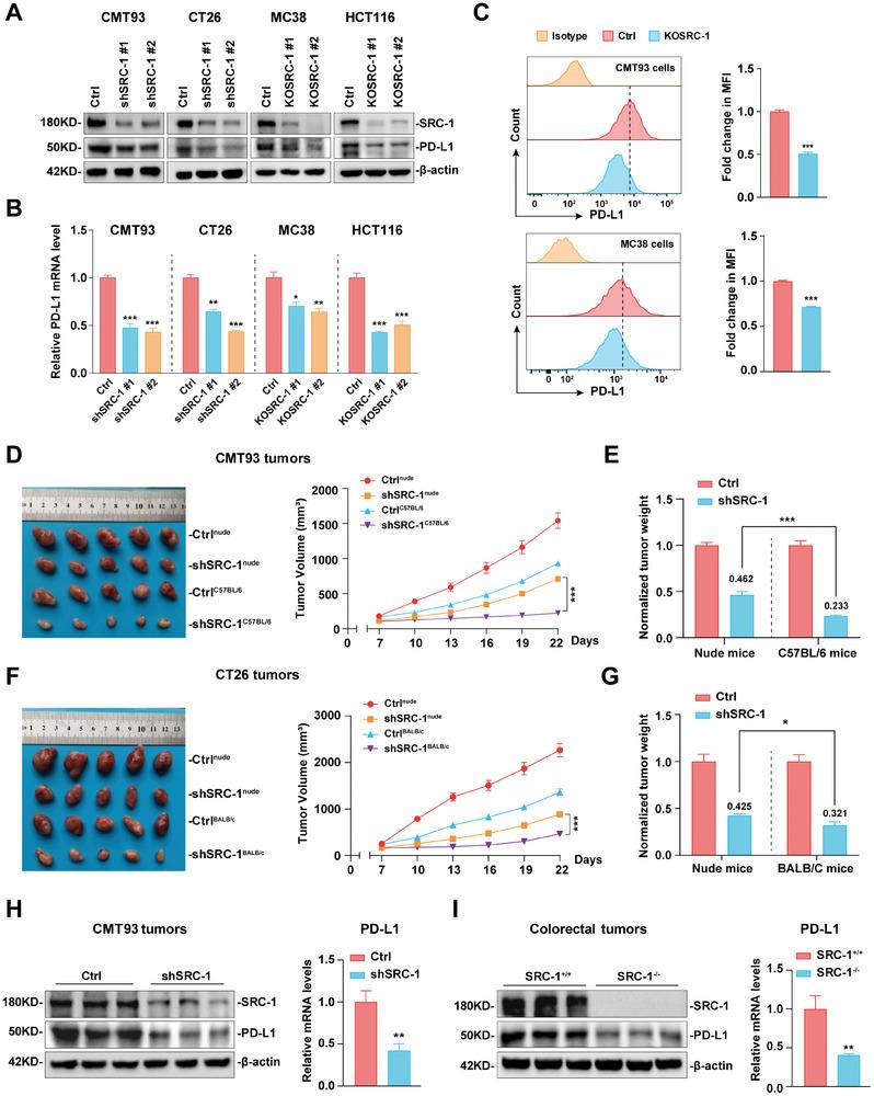 https://cdn.ncbi.nlm.nih.gov/pmc/blobs/38b5/11434141/d9a48da4a8ca/ADVS-11-2310037-g007.jpg