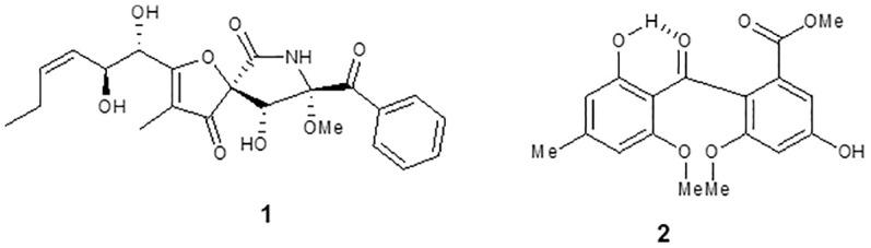 https://cdn.ncbi.nlm.nih.gov/pmc/blobs/38b5/9452909/2de3851ffc38/fcimb-12-974910-g002.jpg