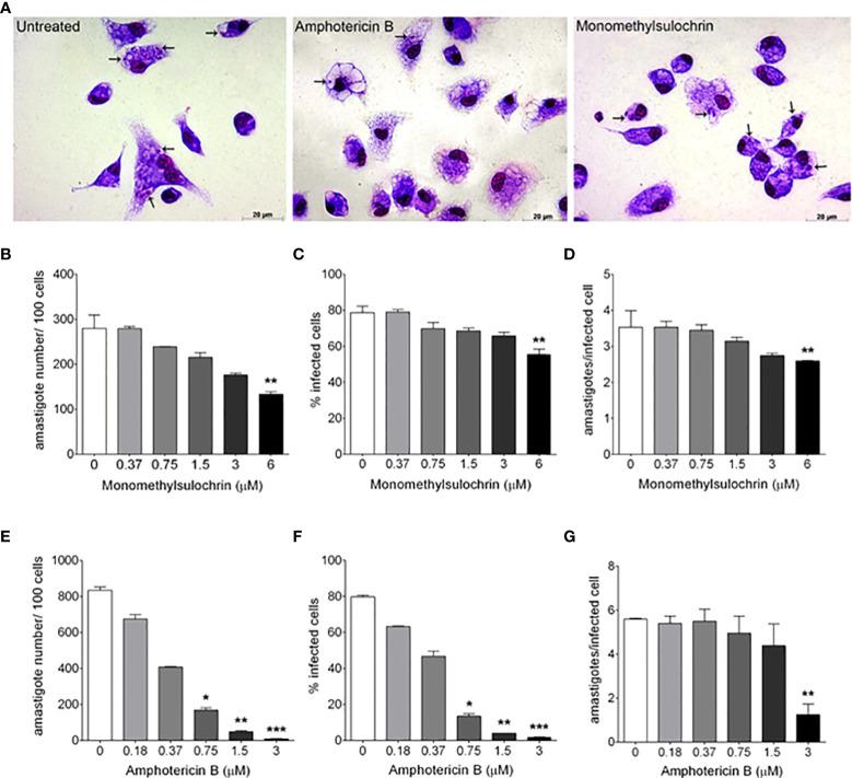 https://cdn.ncbi.nlm.nih.gov/pmc/blobs/38b5/9452909/3ed7075b2a54/fcimb-12-974910-g003.jpg