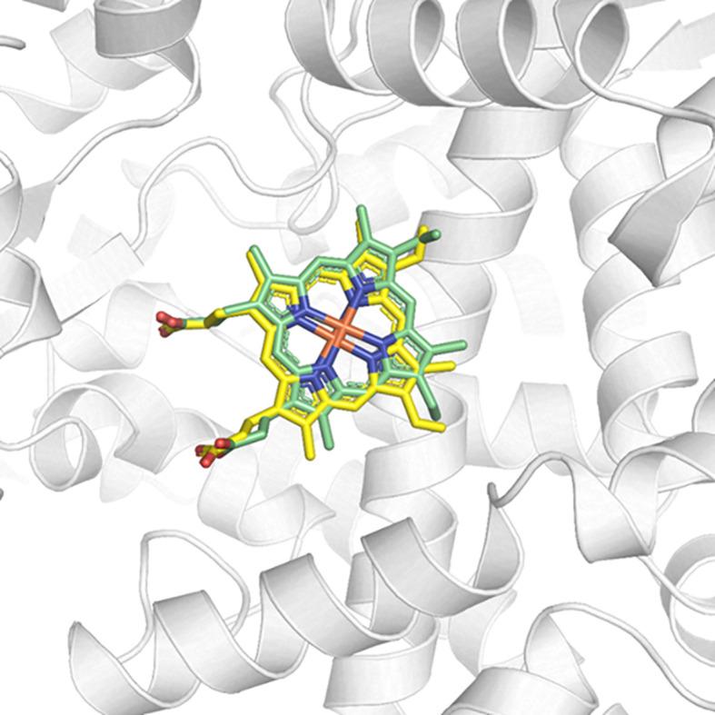 https://cdn.ncbi.nlm.nih.gov/pmc/blobs/38b5/9452909/5d6d26a7f37b/fcimb-12-974910-g006.jpg