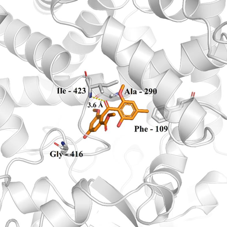 https://cdn.ncbi.nlm.nih.gov/pmc/blobs/38b5/9452909/8efa8841dbd2/fcimb-12-974910-g008.jpg