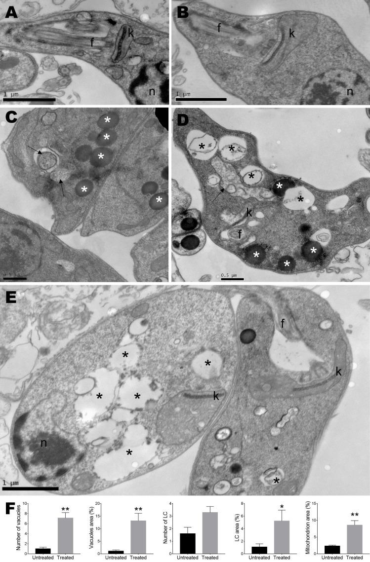 https://cdn.ncbi.nlm.nih.gov/pmc/blobs/38b5/9452909/cdf3e5deec29/fcimb-12-974910-g004.jpg