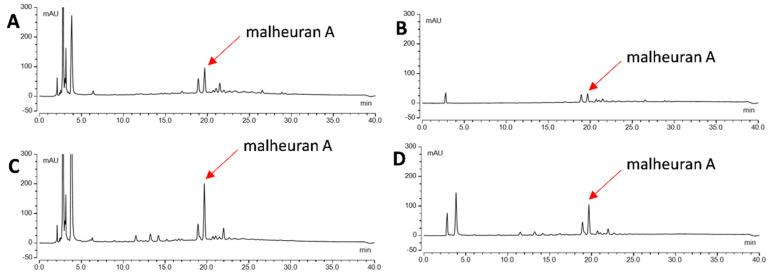 https://cdn.ncbi.nlm.nih.gov/pmc/blobs/38b6/11769231/46b1e23ebc04/plants-14-00259-g008.jpg