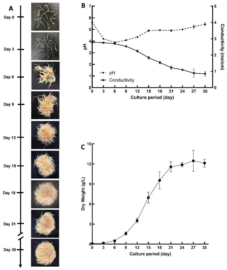 https://cdn.ncbi.nlm.nih.gov/pmc/blobs/38b6/11769231/979eeede19fb/plants-14-00259-g004.jpg
