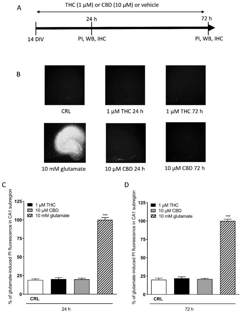 https://cdn.ncbi.nlm.nih.gov/pmc/blobs/38b6/8879505/181e82d98f8c/toxics-10-00048-g001.jpg