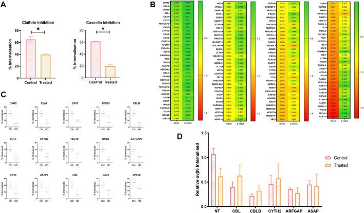 https://cdn.ncbi.nlm.nih.gov/pmc/blobs/38b6/9448872/e1a723914cc4/fcell-10-920303-g003.jpg