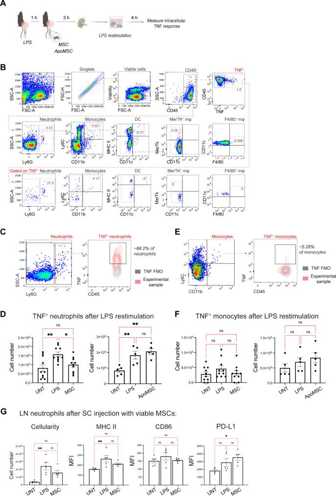 https://cdn.ncbi.nlm.nih.gov/pmc/blobs/38b7/11572146/a15dc4445060/13287_2024_4060_Fig5_HTML.jpg
