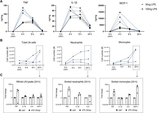 https://cdn.ncbi.nlm.nih.gov/pmc/blobs/38b7/11572146/c12074289b4a/13287_2024_4060_Fig2_HTML.jpg