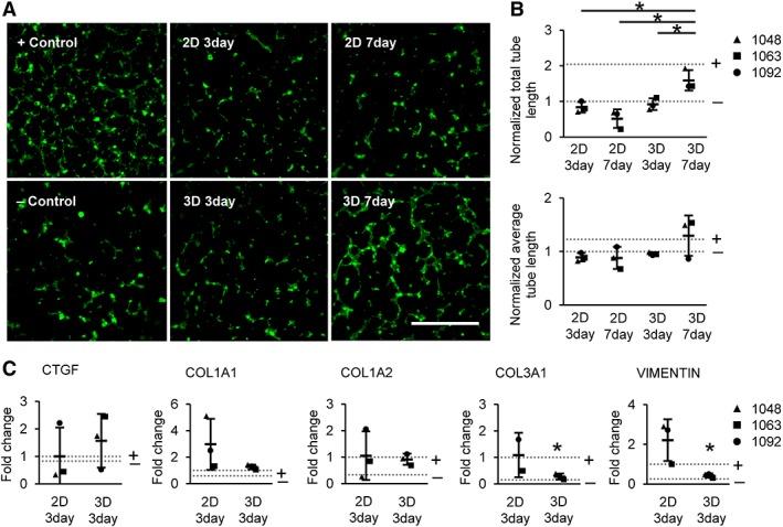 https://cdn.ncbi.nlm.nih.gov/pmc/blobs/38b7/6811701/50f9a7629354/SCT3-8-1212-g001.jpg
