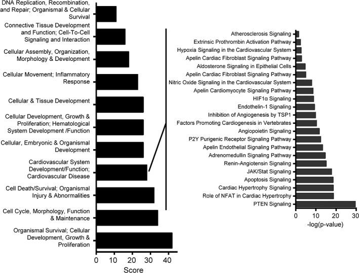 https://cdn.ncbi.nlm.nih.gov/pmc/blobs/38b7/6811701/fe53ac7430a4/SCT3-8-1212-g004.jpg