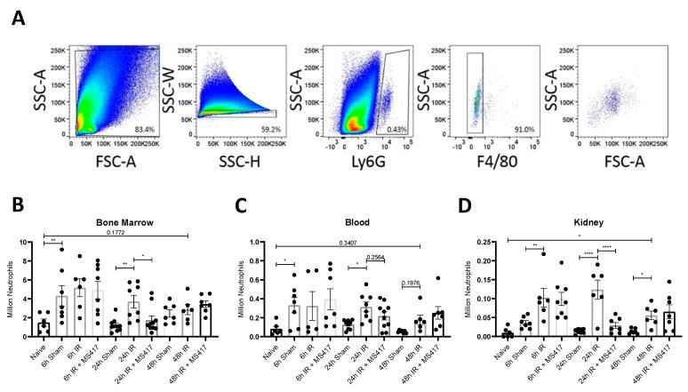 https://cdn.ncbi.nlm.nih.gov/pmc/blobs/38b7/7767067/13e96587c563/ijms-21-09620-g007.jpg