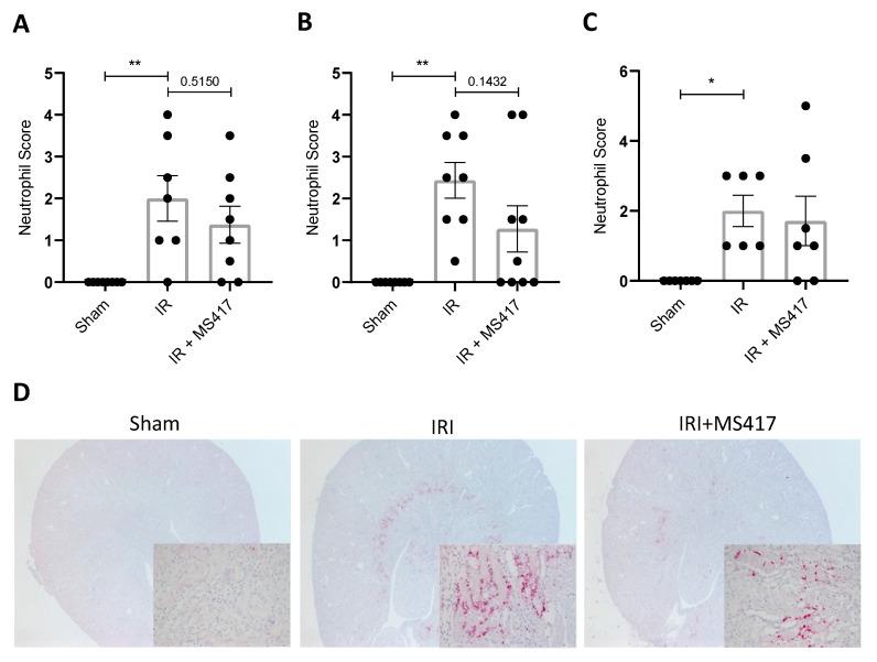 https://cdn.ncbi.nlm.nih.gov/pmc/blobs/38b7/7767067/6dcdc227510c/ijms-21-09620-g008.jpg