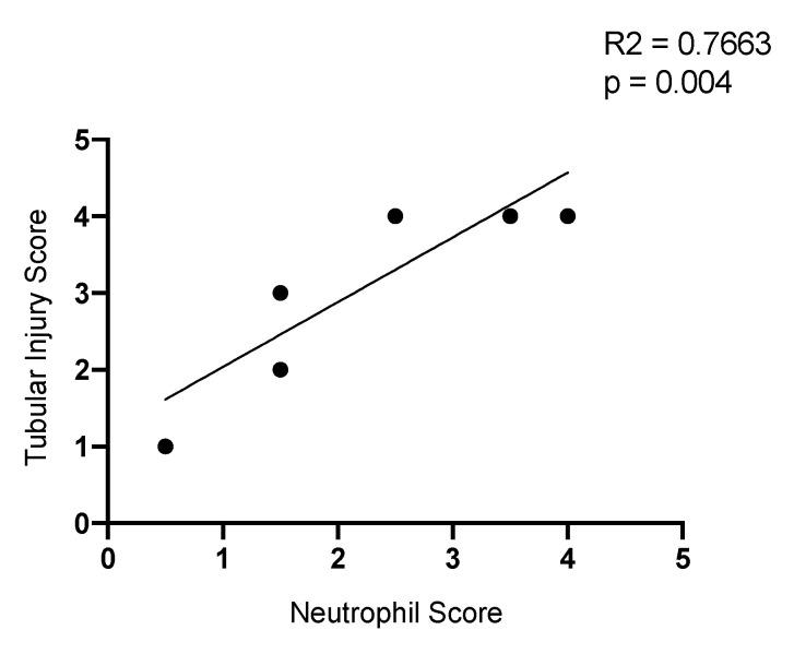 https://cdn.ncbi.nlm.nih.gov/pmc/blobs/38b7/7767067/6ec6bbe5adf4/ijms-21-09620-g012.jpg
