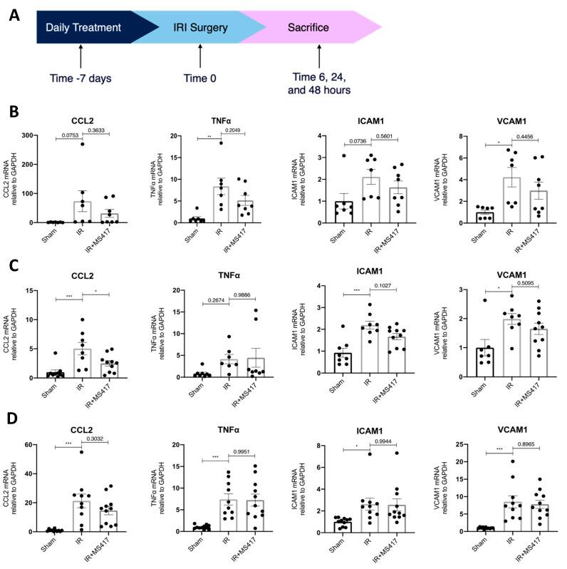 https://cdn.ncbi.nlm.nih.gov/pmc/blobs/38b7/7767067/91b0b2742b01/ijms-21-09620-g006.jpg