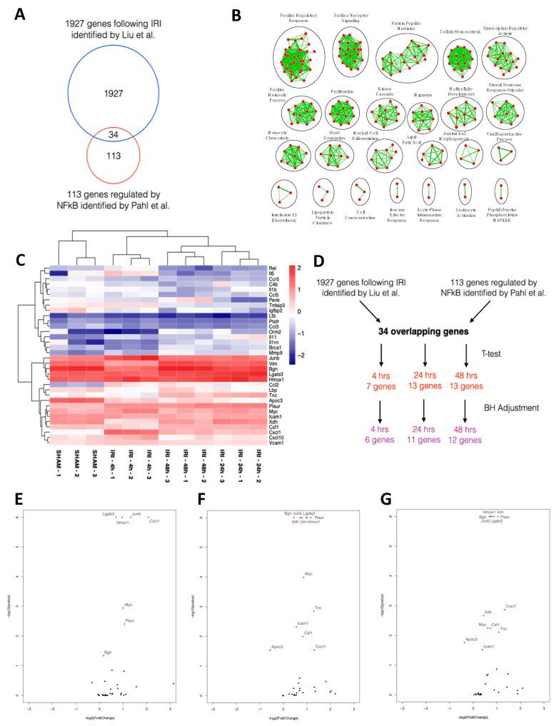 https://cdn.ncbi.nlm.nih.gov/pmc/blobs/38b7/7767067/bffb37494fa2/ijms-21-09620-g001.jpg