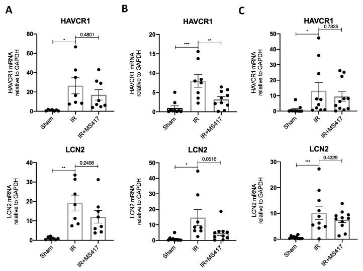 https://cdn.ncbi.nlm.nih.gov/pmc/blobs/38b7/7767067/c1188bcf38ad/ijms-21-09620-g011.jpg